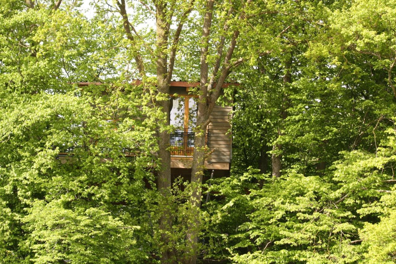 Villa Baumhaus Auf Dem Kellerberg Fischach Esterno foto